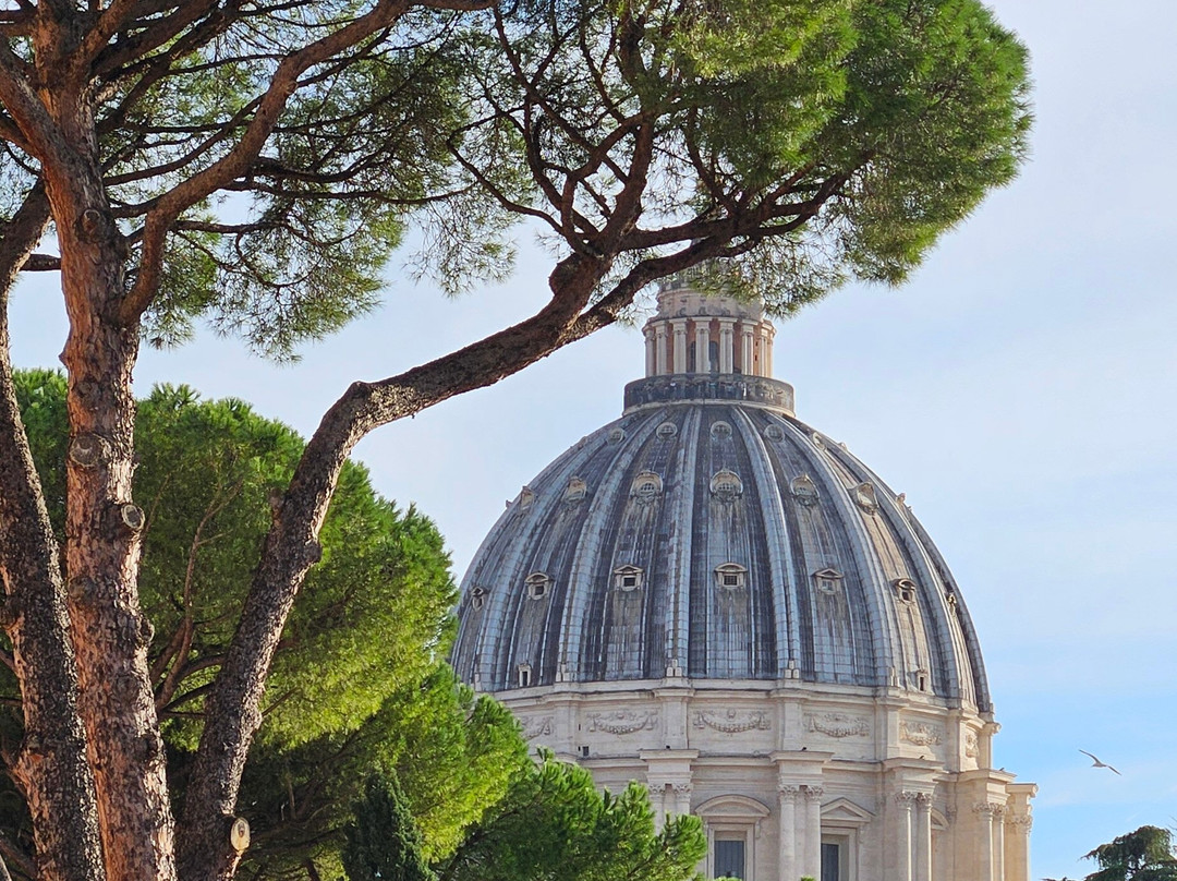 Roma Mirabilia Day Tours-罗马必去景点