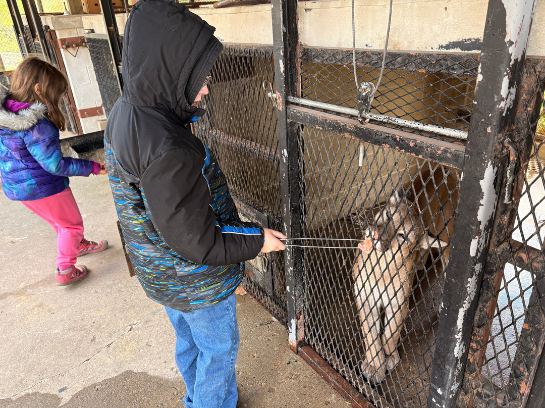 Wildlife Prairie Park-Hanna City必去景点