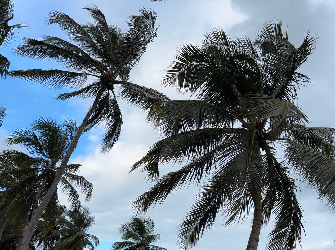 Partiu Milagres Of-Sao Miguel dos Milagres必去景点