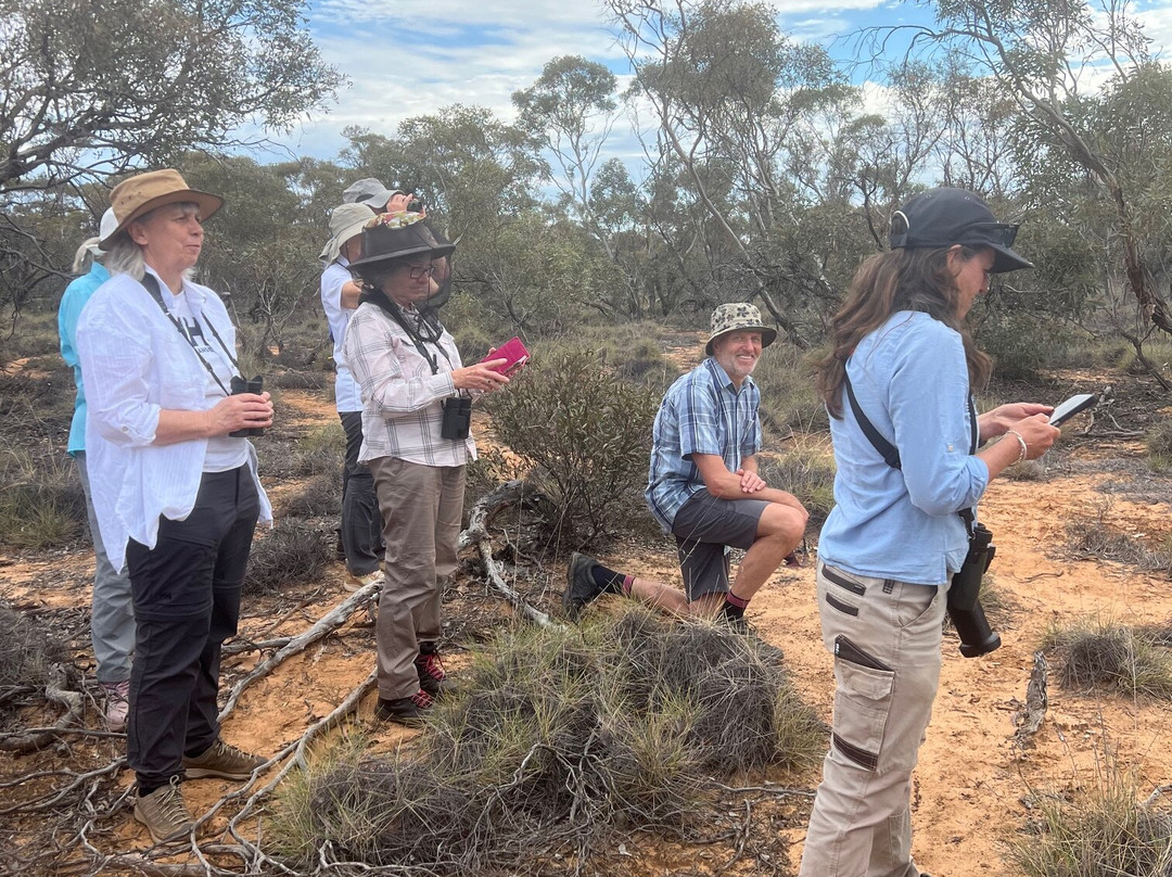 Australian Geographic Travel-悉尼必去景点