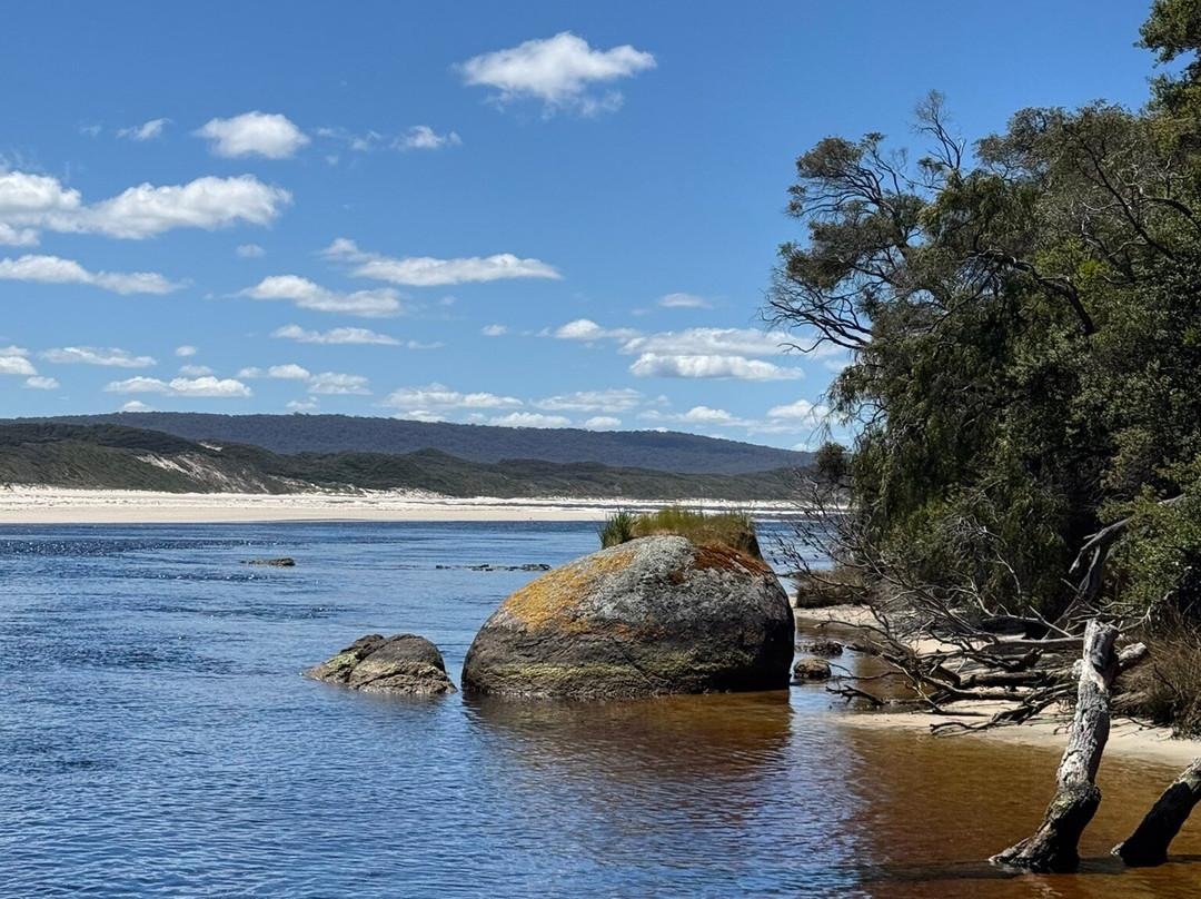 Wow Wilderness Ecocruises-沃泊尔必去景点