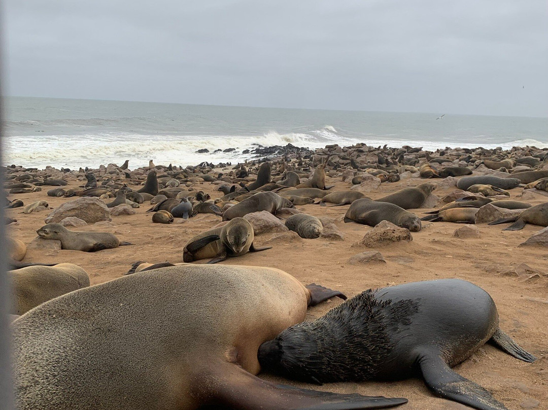 Wild Wind Safaris-温德和克必去景点
