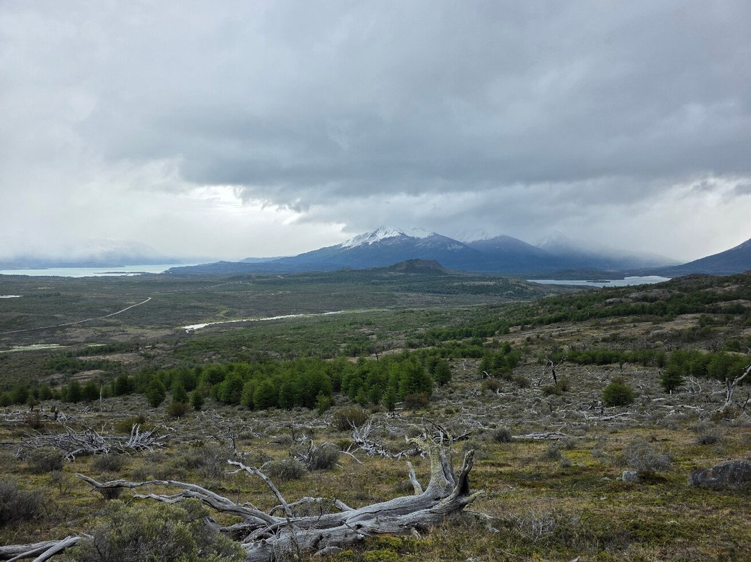Tour Rupestre Patagonia-纳塔莱斯港必去景点