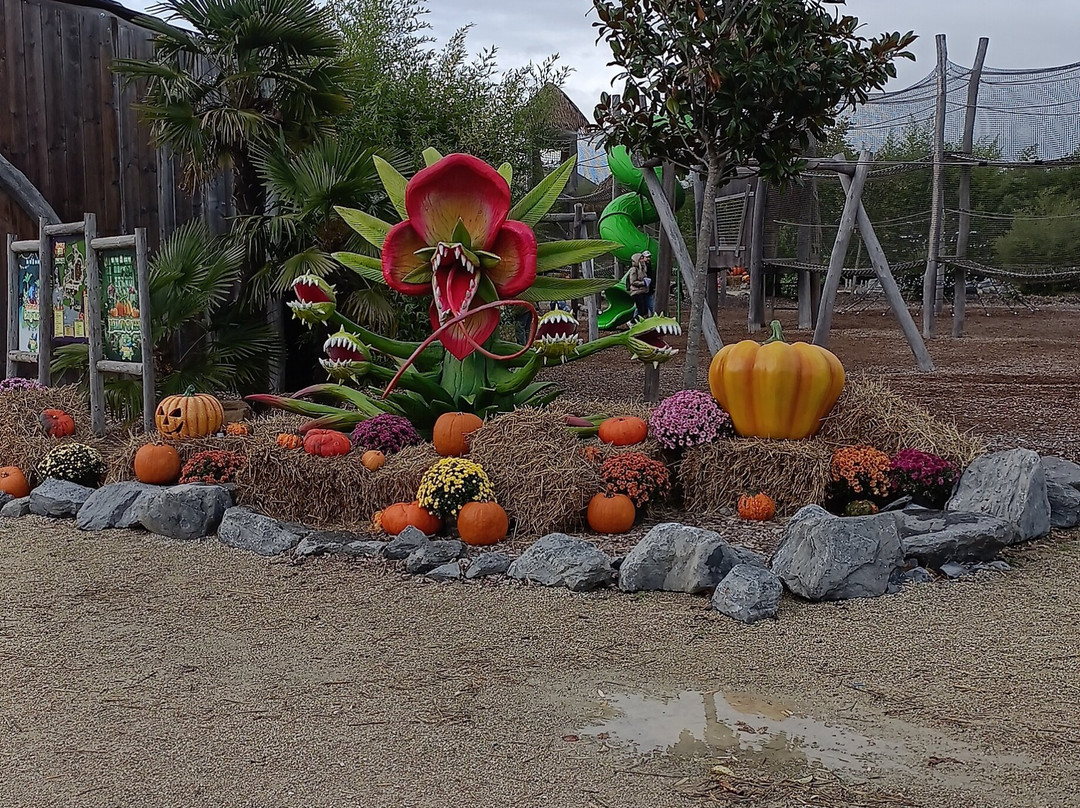 Jungle City-图尔奈必去景点