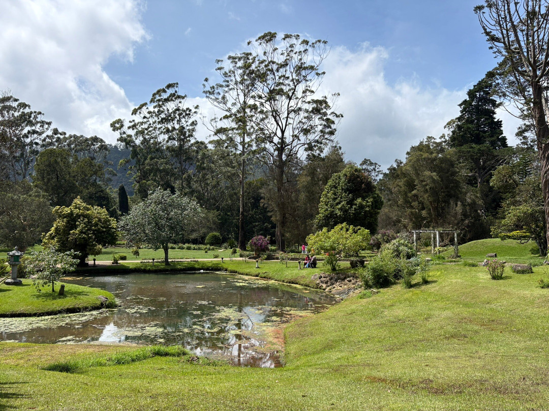 维多利亚公园-奴娃拉伊利雅必去景点