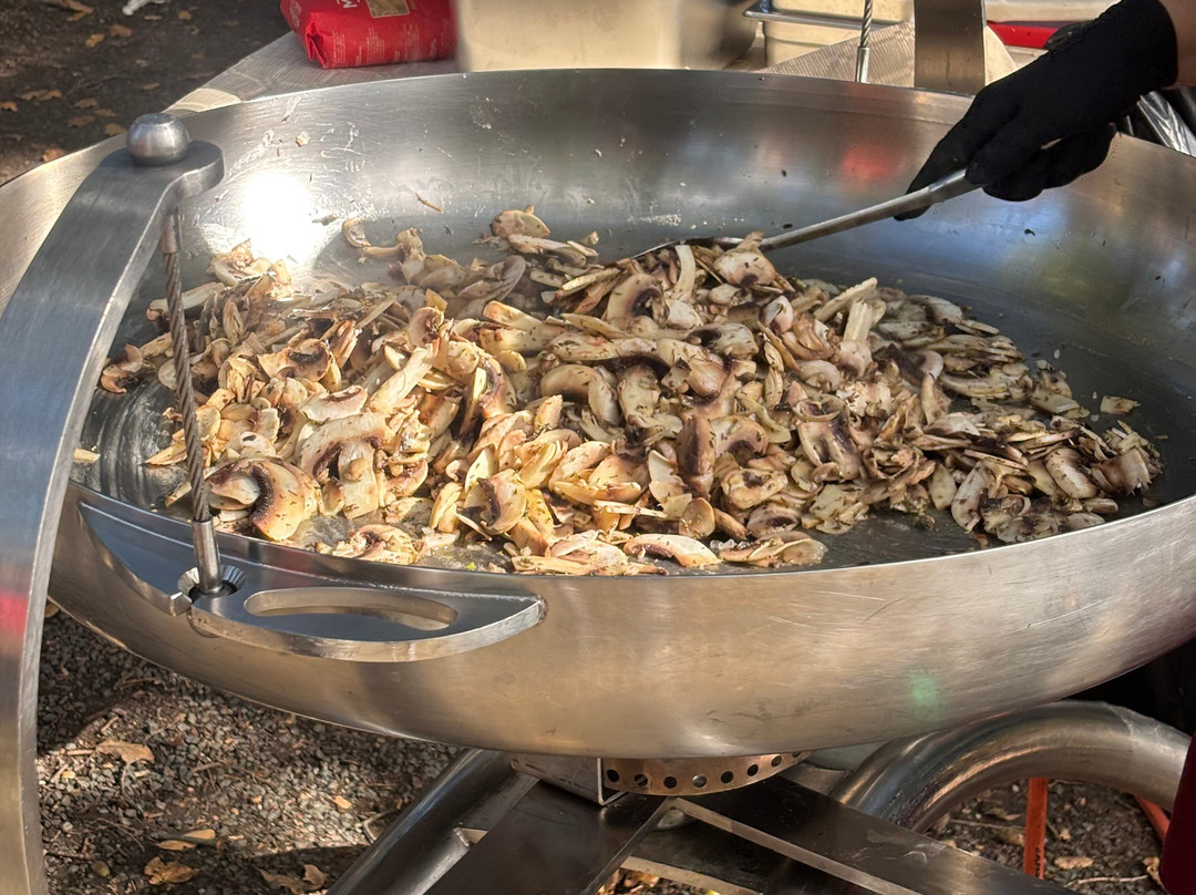 Truffle Hunting-卡兰巴卡必去景点