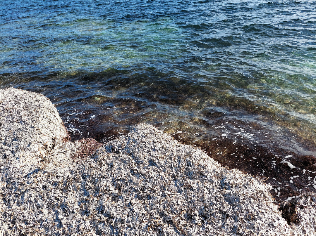 Spiaggia di Campionna-Teulada必去景点