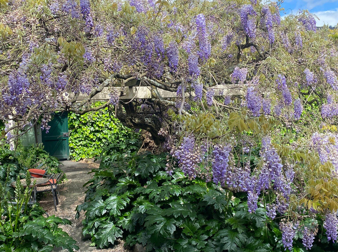 City Park Radio Museum-朗塞斯顿必去景点