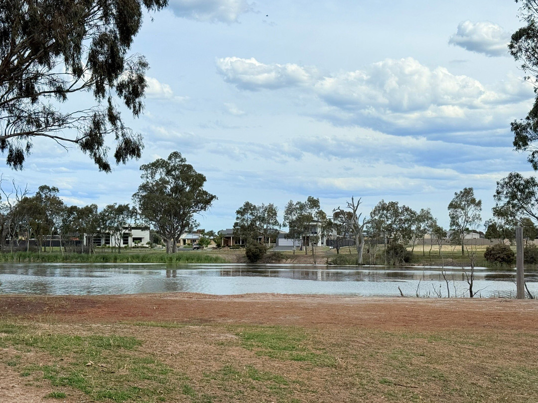 Horsham Pump Track & Adventure Island-霍舌姆必去景点