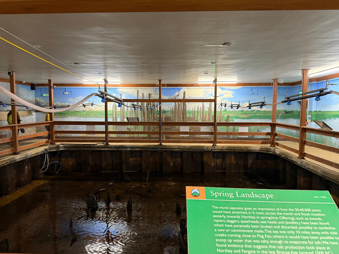 Flag Fen-彼得伯勒必去景点