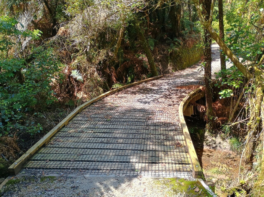 Kawatiri Coastal Trail-韦斯特波特必去景点