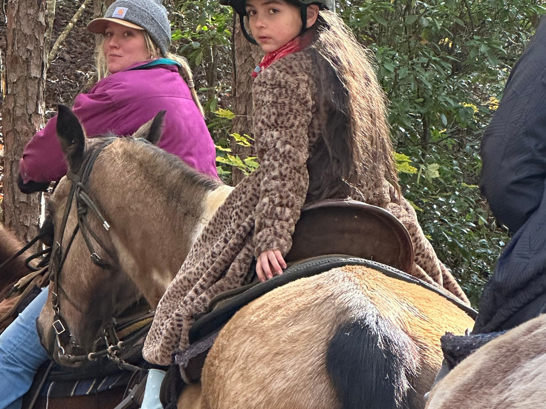 Appalachian Trail Rides-Mineral Bluff必去景点