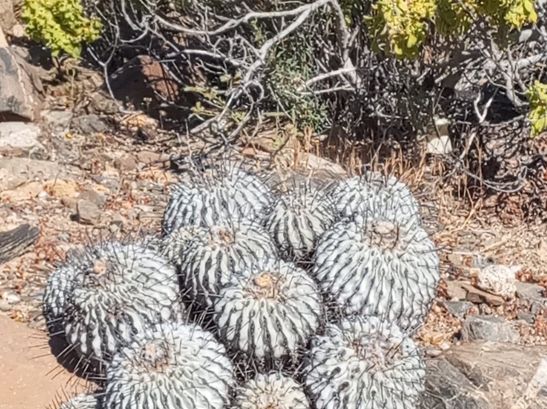 Ecoturismo La Serena-拉塞雷纳必去景点