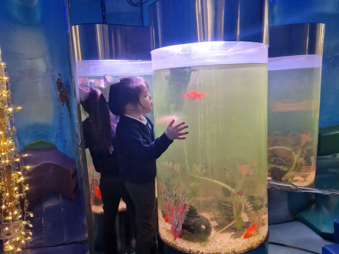 Big Sky-彼得伯勒必去景点