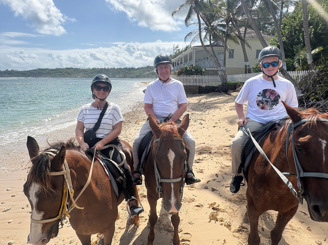 Ocean Echo Stables-Saint John Parish必去景点