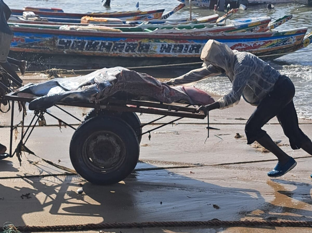 Bacary Tour-Nianing必去景点