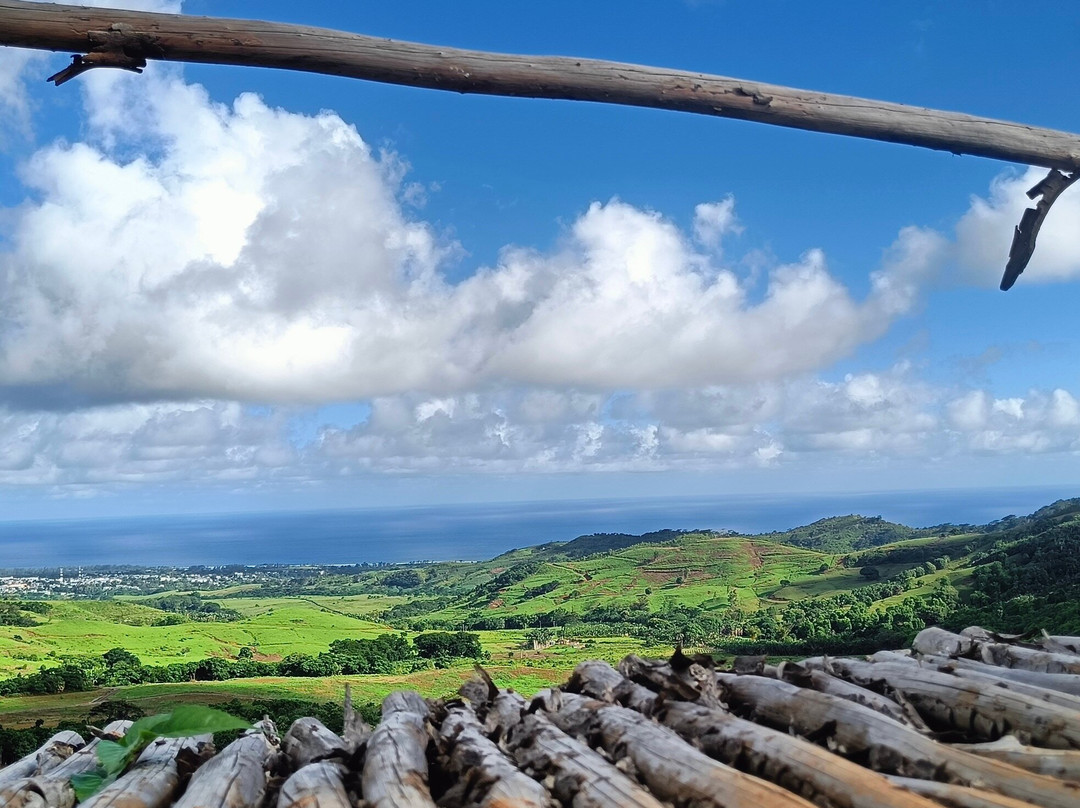 Mo'bike Park-Chamouny必去景点