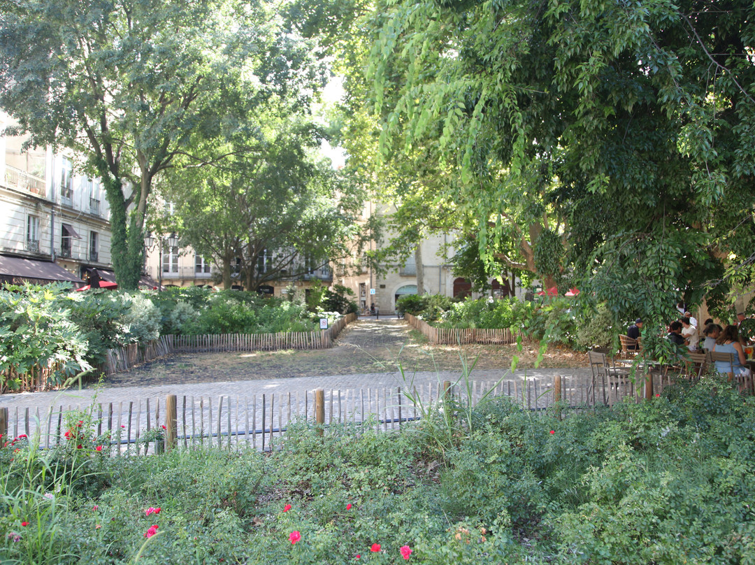 Place de la Canourgue-蒙彼利埃必去景点