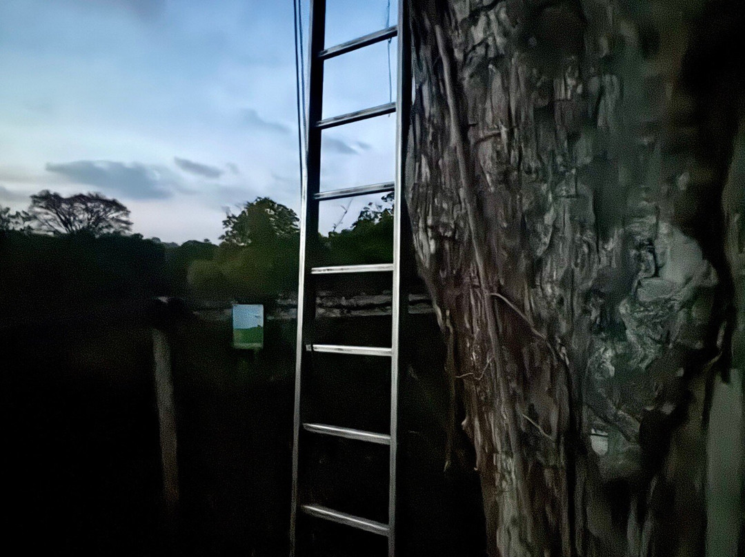 Camp Canopée-Kourou必去景点