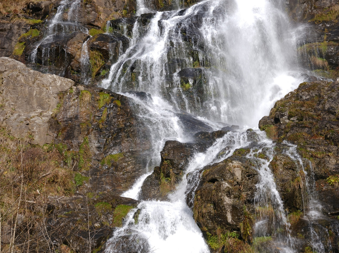 Todtnau Waterfalls-托特瑙必去景点