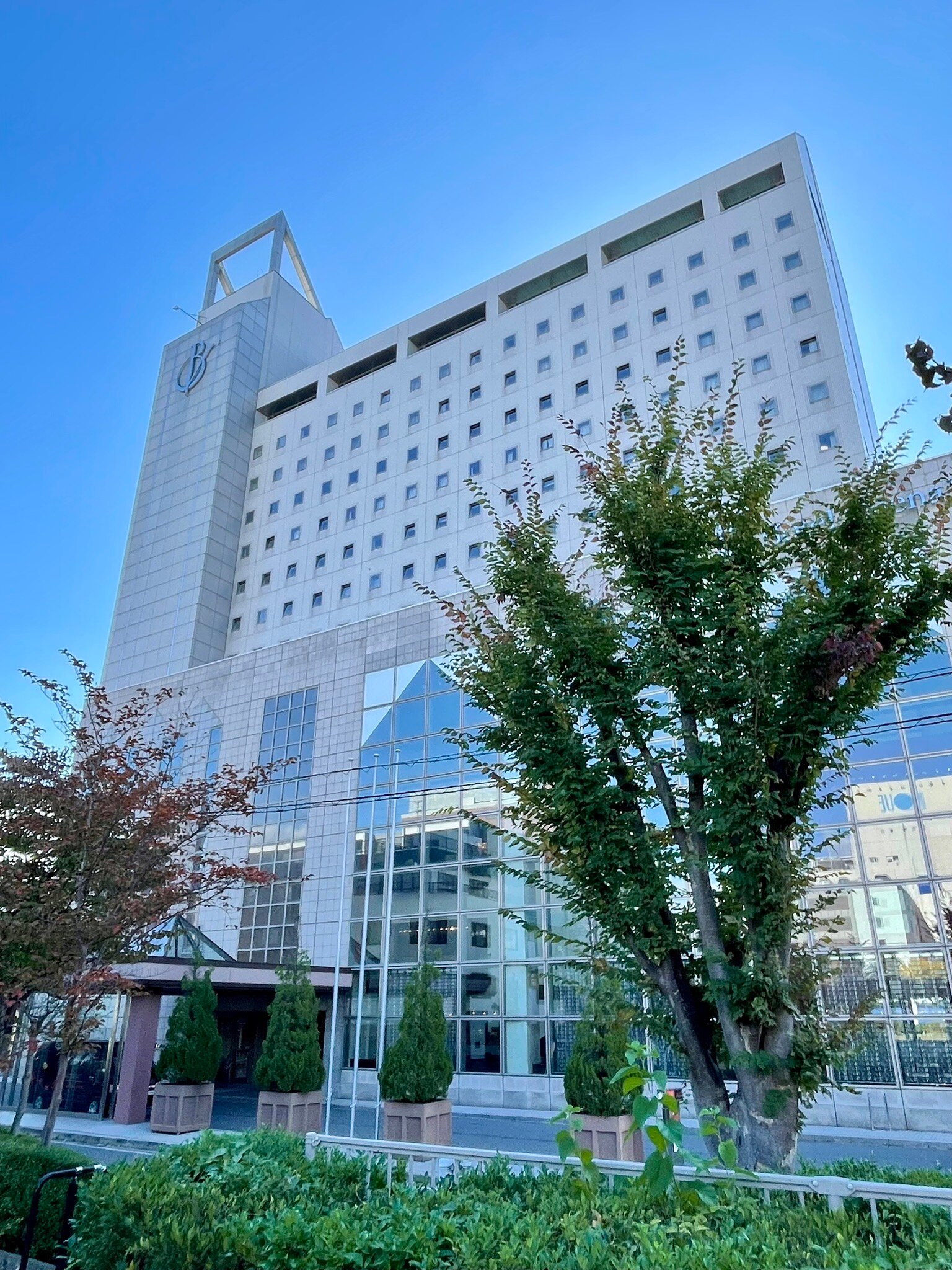 布埃纳维斯塔酒店-官方