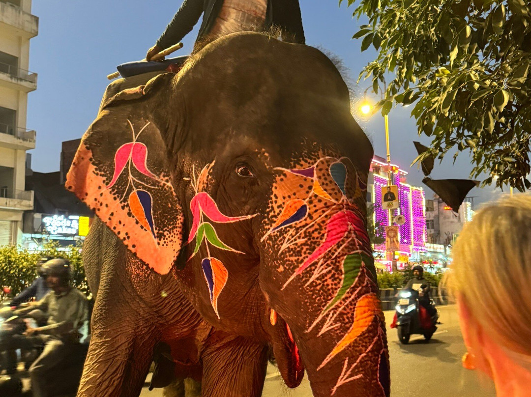 Visit Jaipur Tour-斋蒲尔必去景点