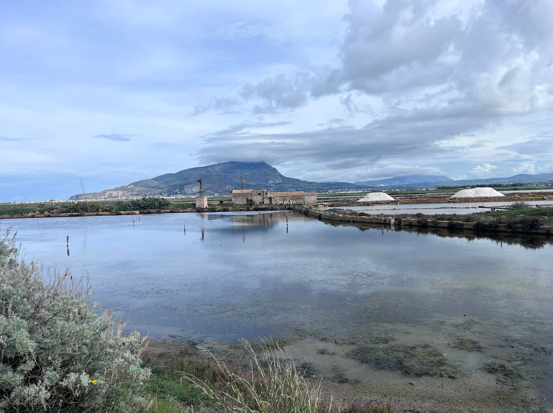 Riserva Naturale Saline Di Trapani E Paceco-特拉帕尼省必去景点