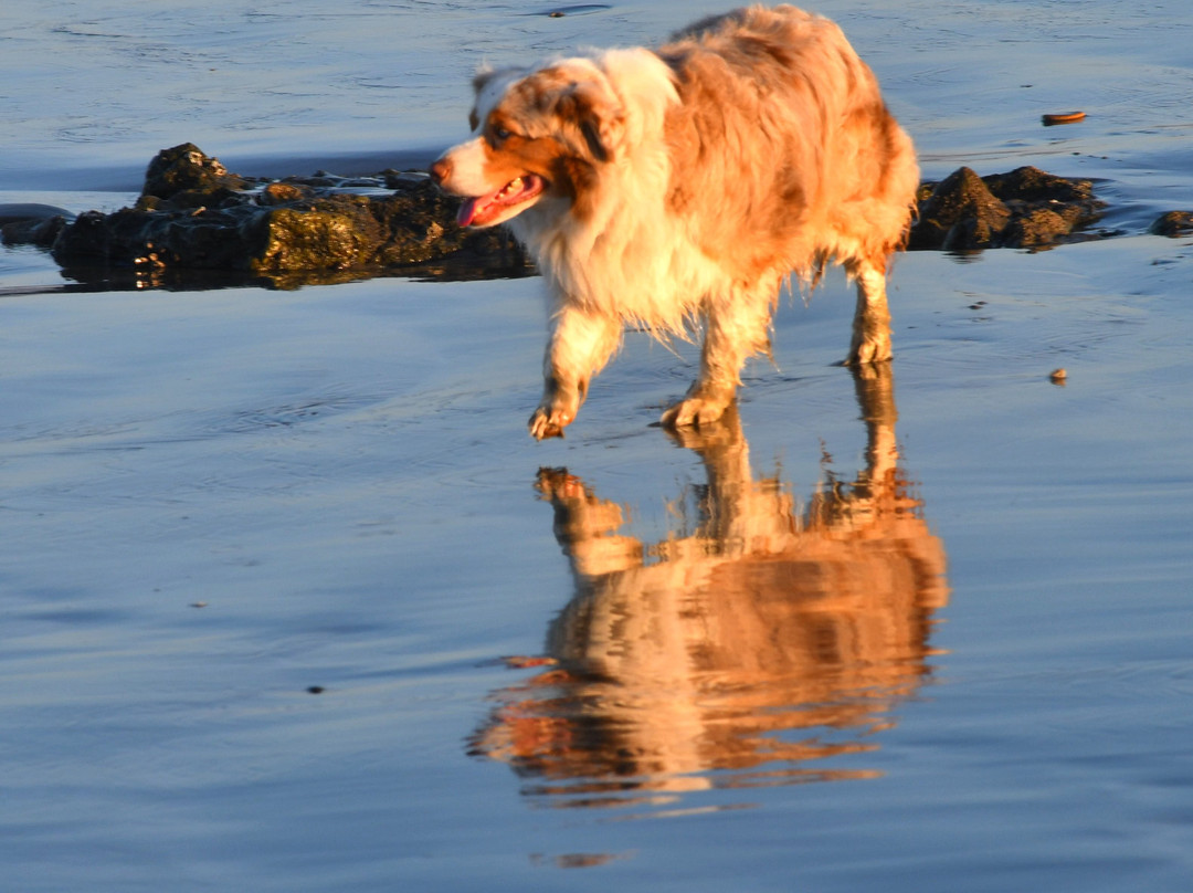 卡尤寇斯海滩酒店主图
