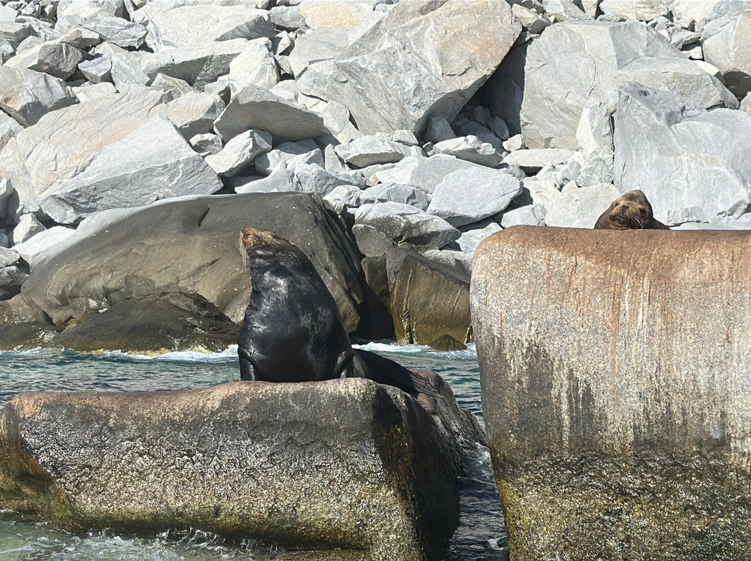 Dive Cabo Pulmo-Cabo Pulmo必去景点