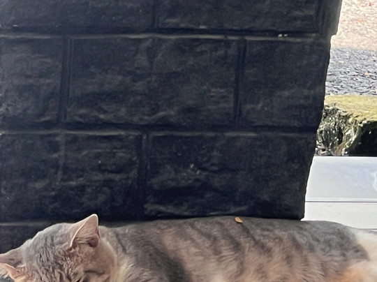 Innspire Hotel By Suntai