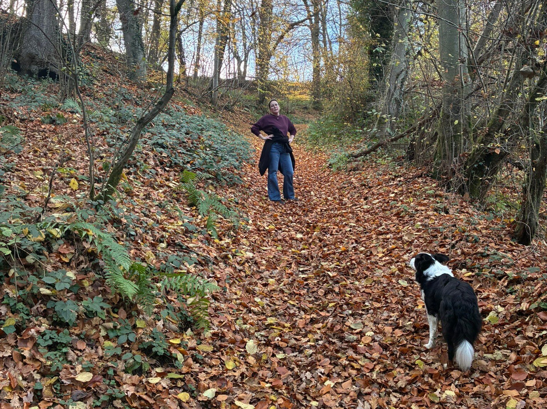 Monsieur Doute主图