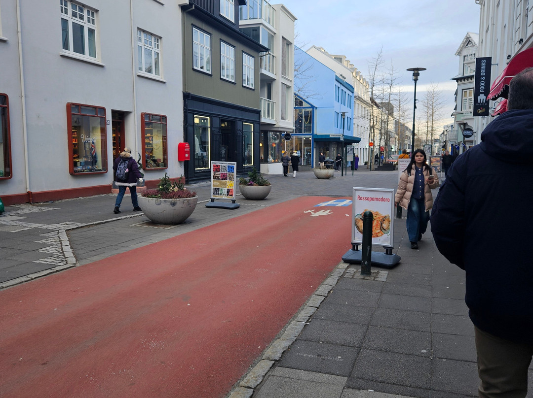 Activity Iceland-雷克雅未克必去景点