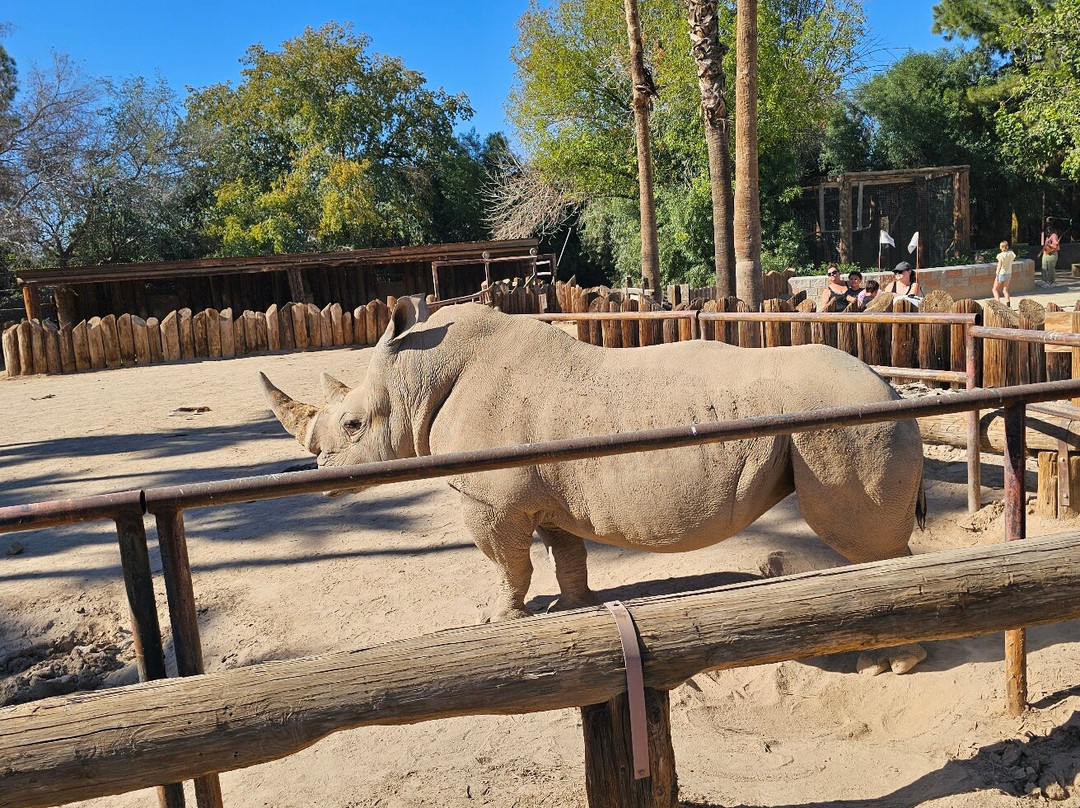 Wildlife World Zoo and Aquarium-Litchfield Park必去景点