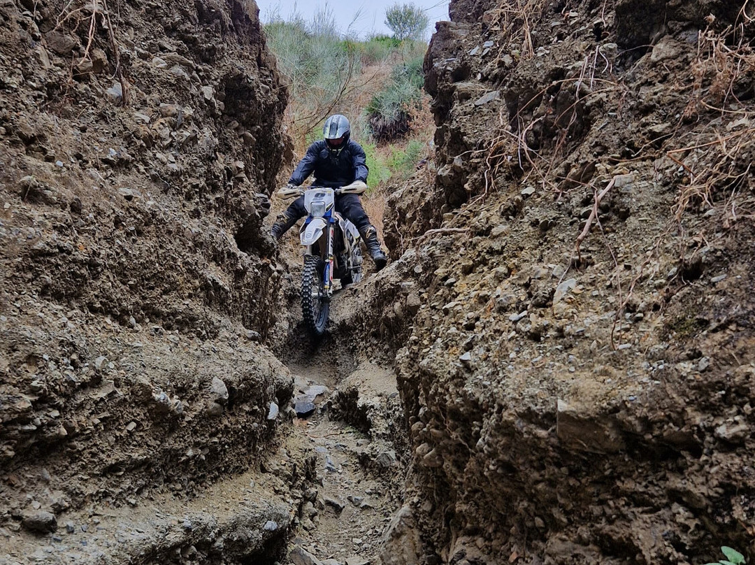ToroTrail-马拉加必去景点