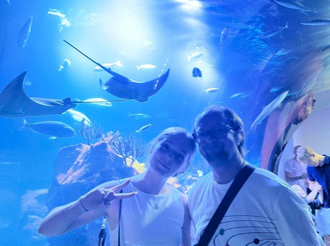 ChrisDiving, dive center Playa Potrero-波特雷罗必去景点