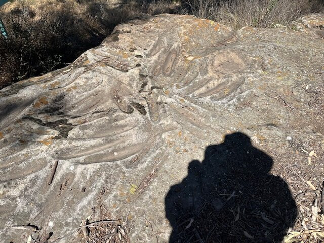 Terramungamine Reserve and Rock Grooves-达博必去景点