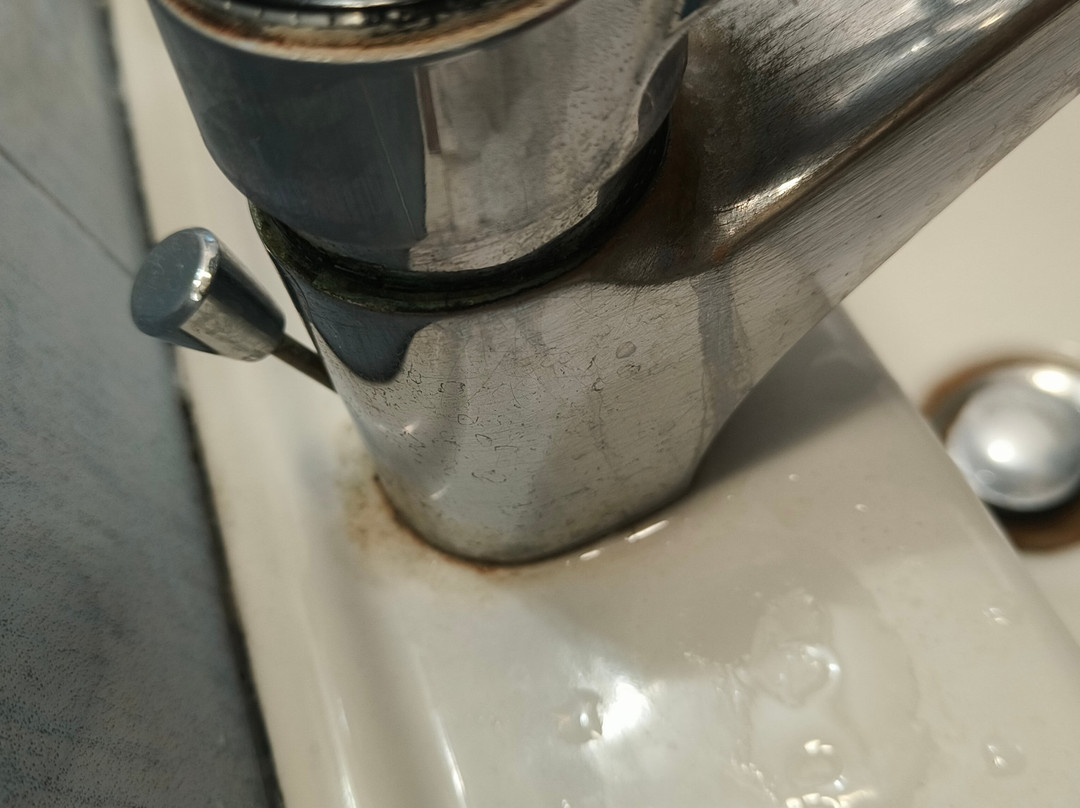 Hotel Tuscolano主图