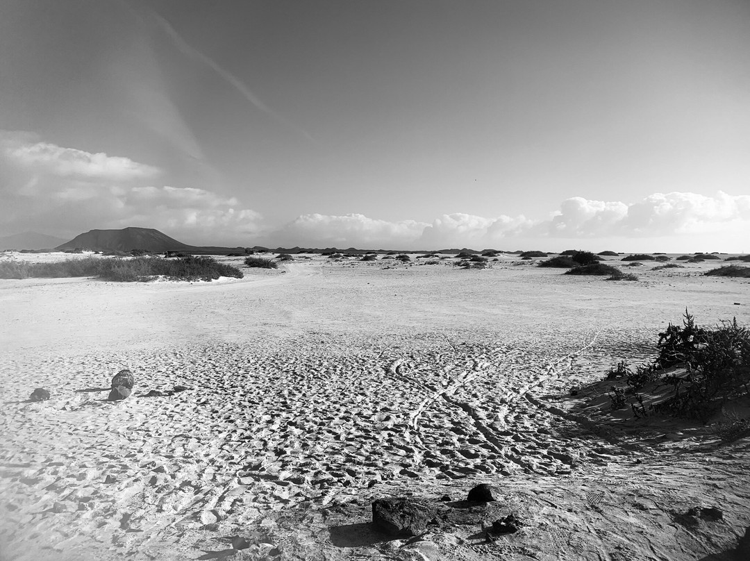 Dunas De Corrallejo-科拉雷侯必去景点