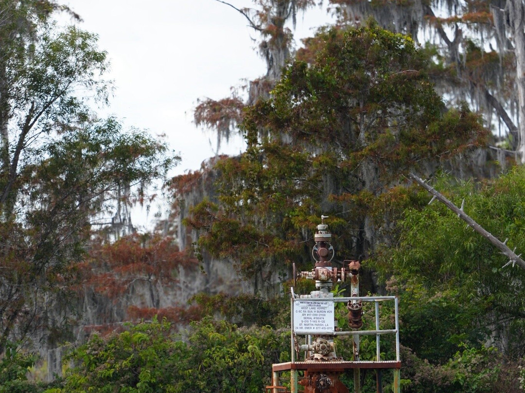 Delta Discovery Tours-Empire必去景点