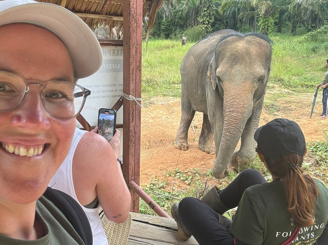 Following Giants - Krabi-Khlong Hin必去景点