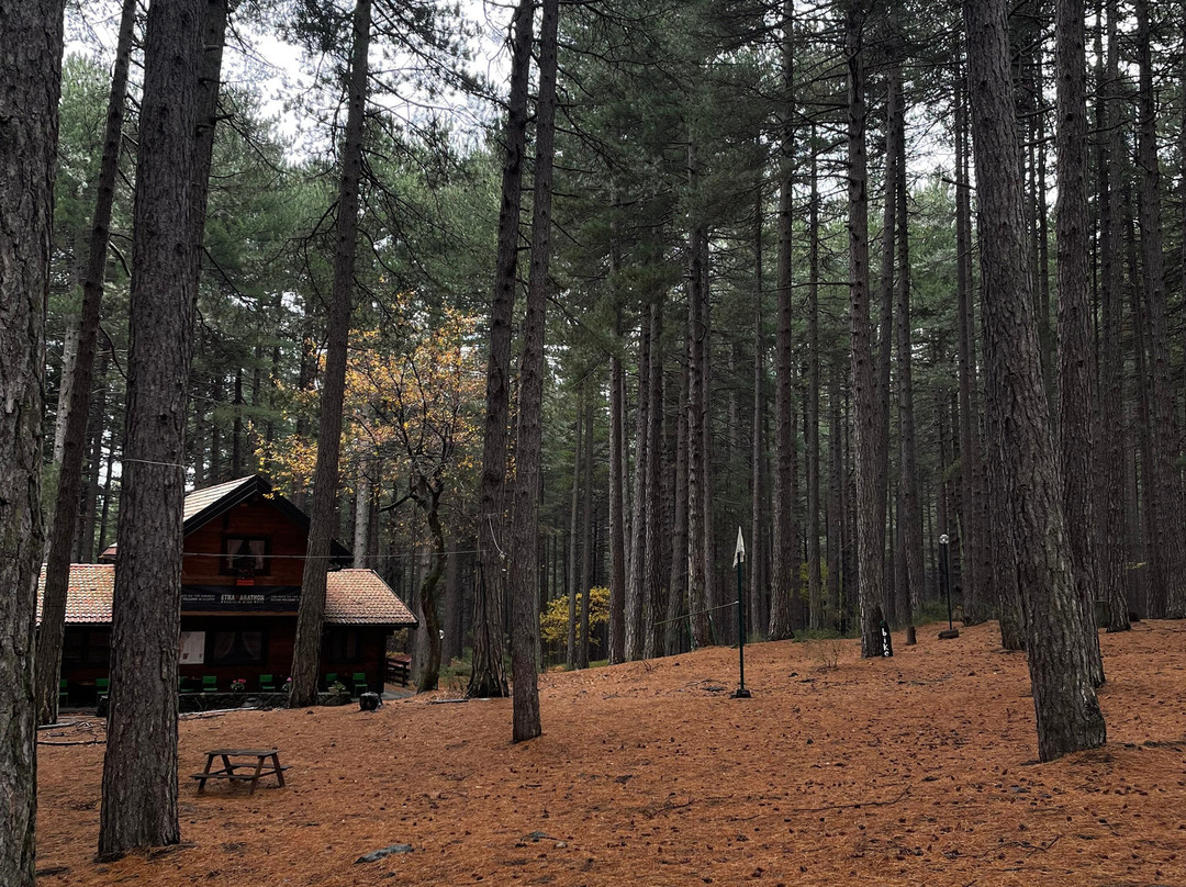 Go-Etna-卡塔尼亚必去景点