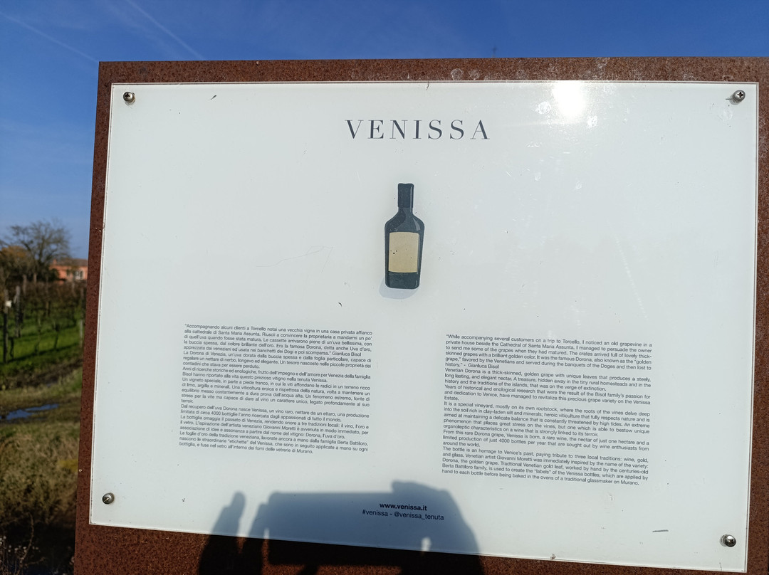 Venissa-Mazzorbo必去景点