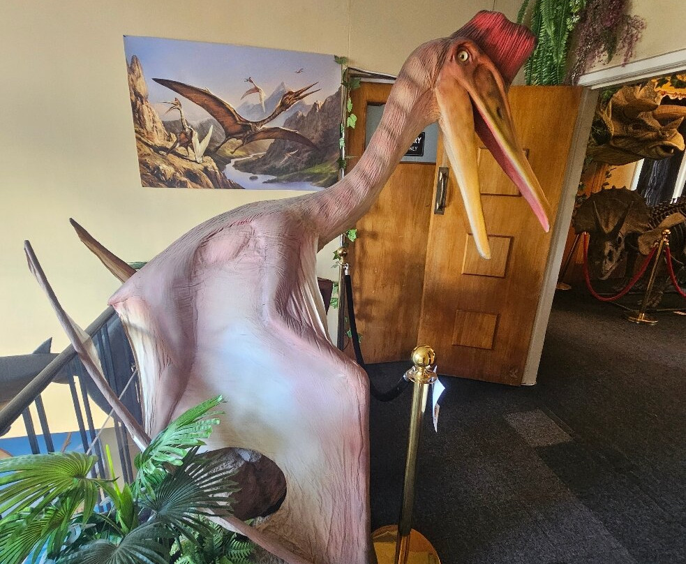 Dinosaur House-Raetihi必去景点