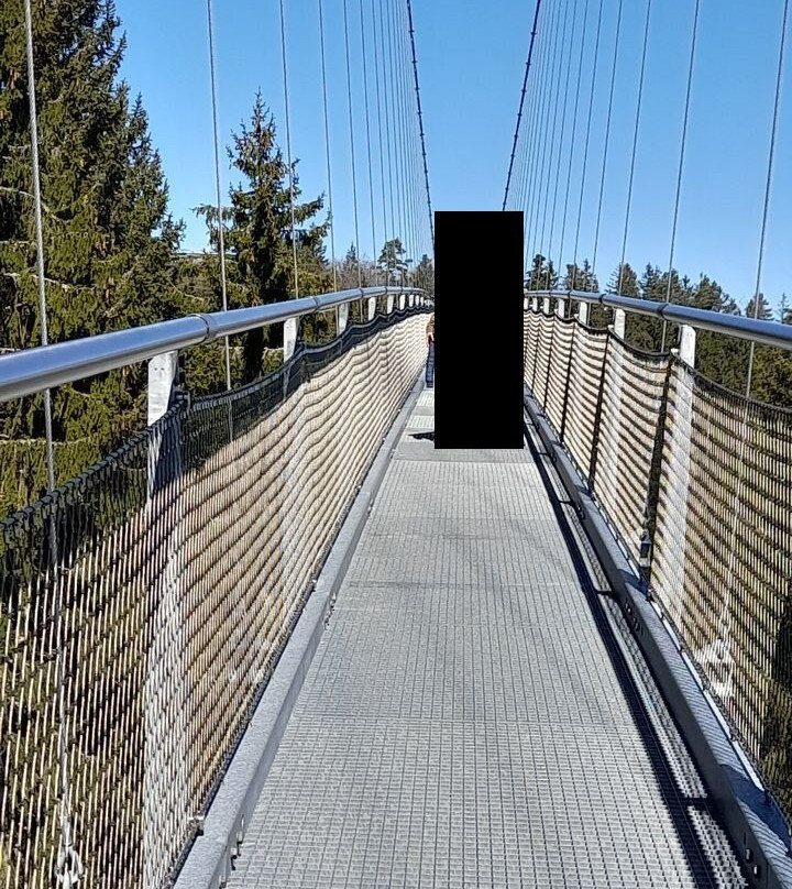 WildLine Hängebrücke-Bad Wildbad必去景点