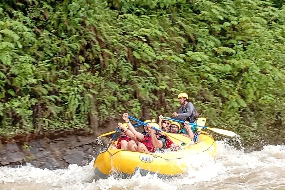 Canopy Safari-克波斯必去景点