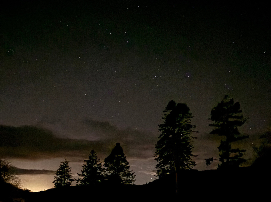 Grizedale Observatory-安布赛德必去景点