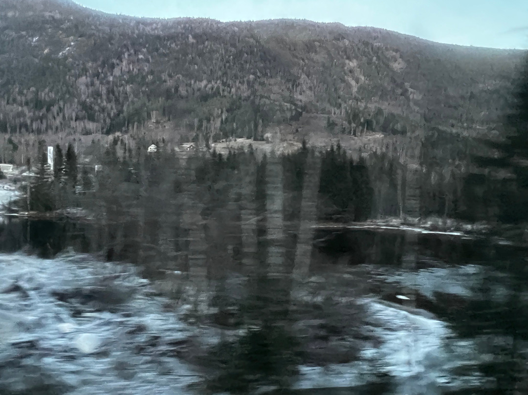 Bergen to Oslo Train Ride-卑尔根必去景点