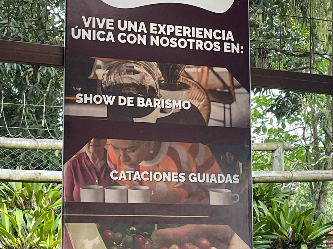 Café La Morelia-El Caimo必去景点