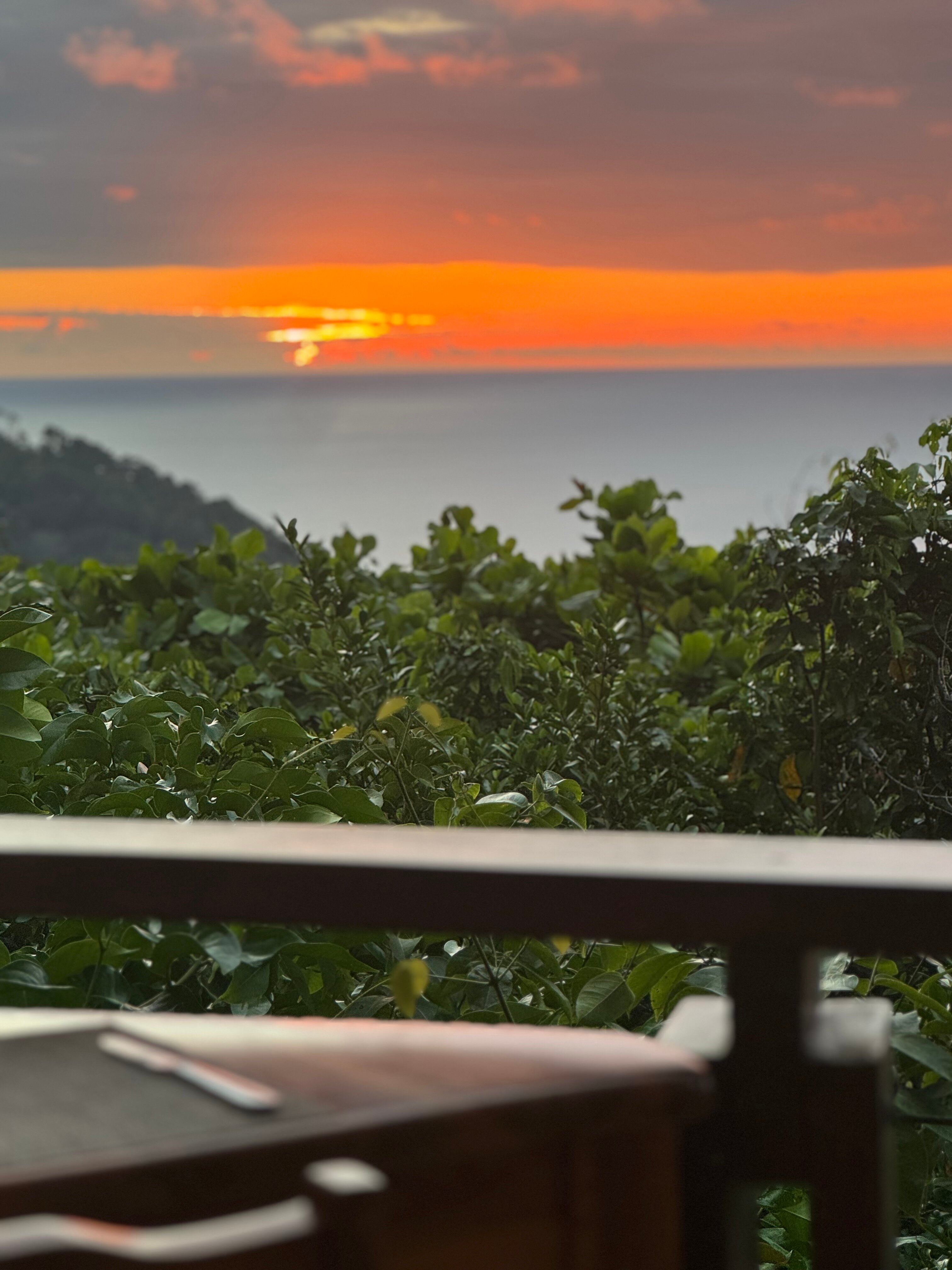 Tulemar-酒店景观