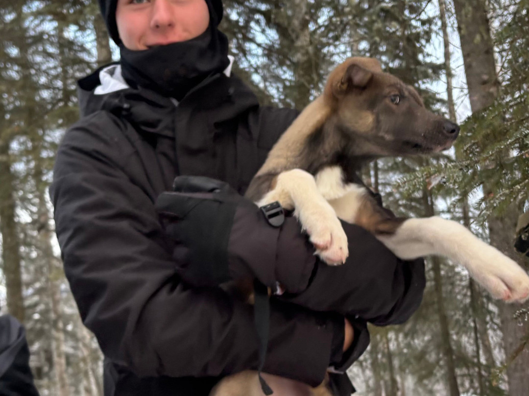 The Alaska Dogstead Mushing Company-Big Lake必去景点